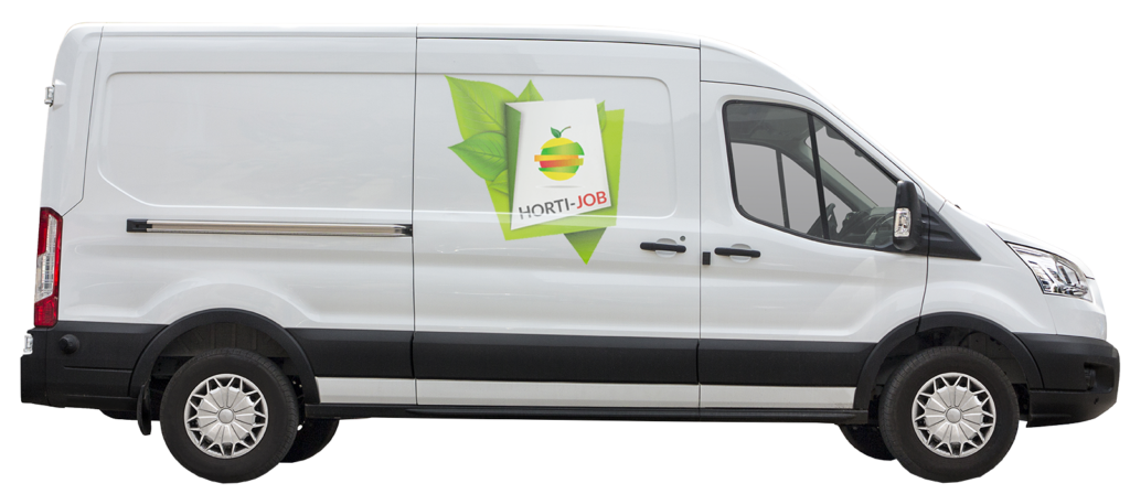 Levering fruit groenten horti job